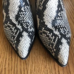 paige willa snake boot